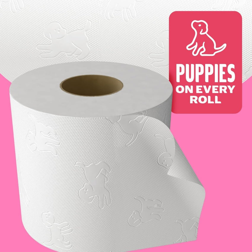 ON SALE , Family Soft Toilet Tissue 45 Rolls , FSC Certified – Andrex